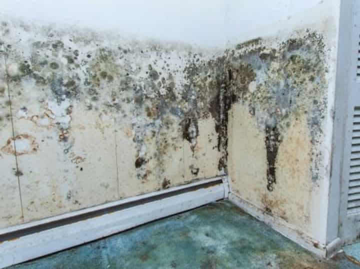 Water Damage Roanoke 3 water damage ann arbor; don't ignore water damage problems